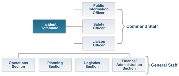Structure of ICS