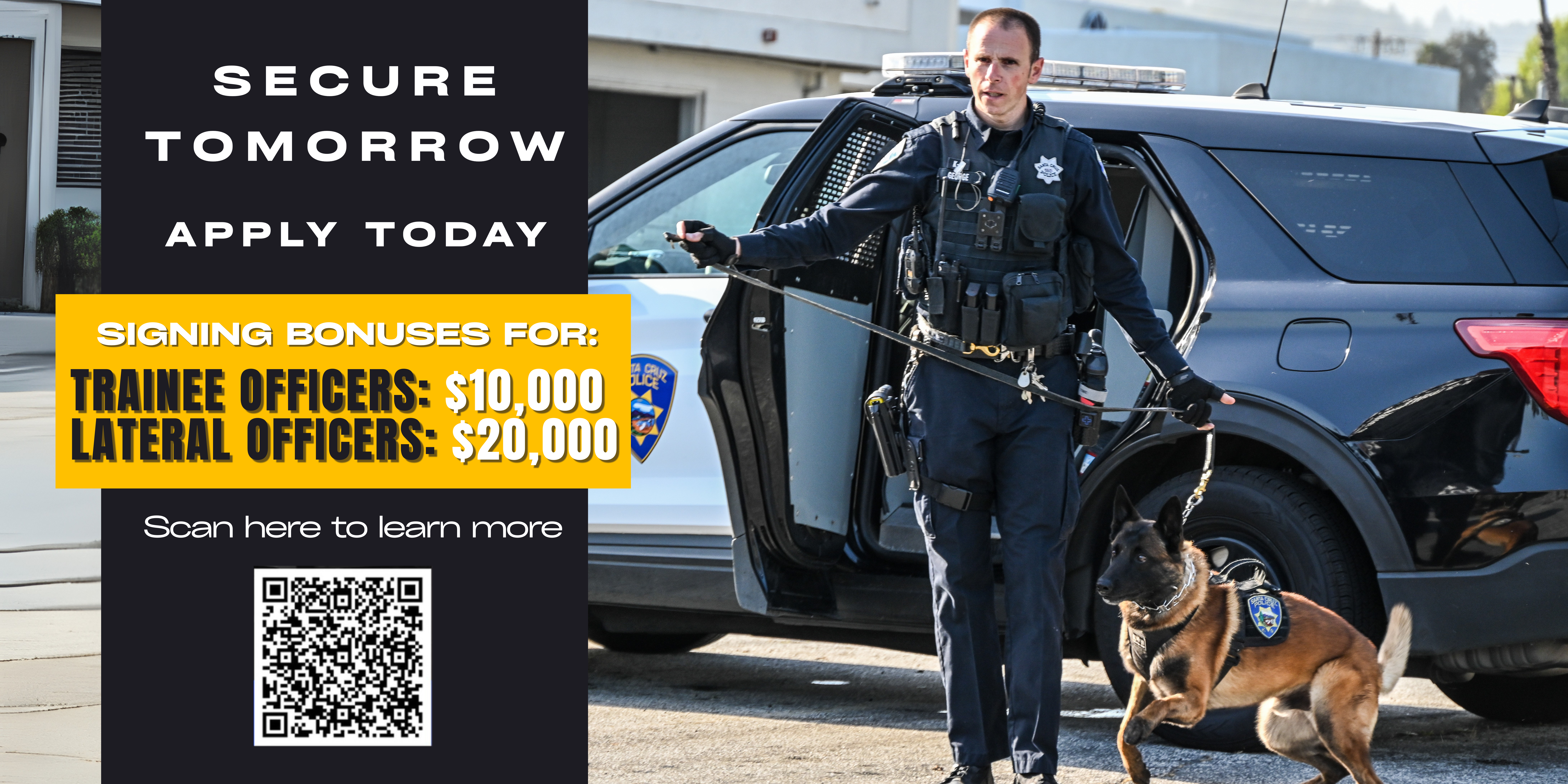 updated PD Ad (1).png