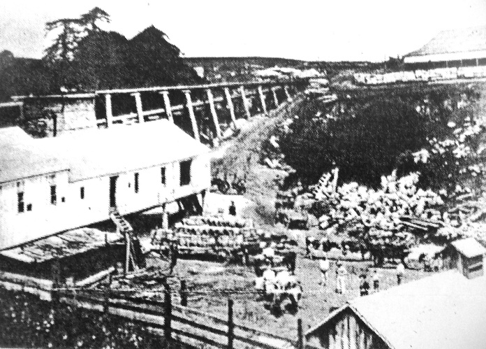 Cowell Lime Works