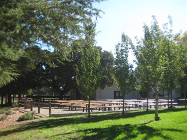 Harvey West Park