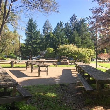Harvey West Park