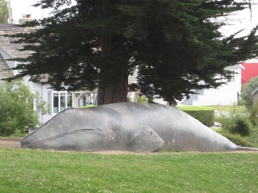 Tyrrell Park