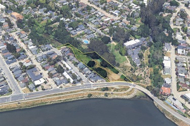 Jessie Street Marsh