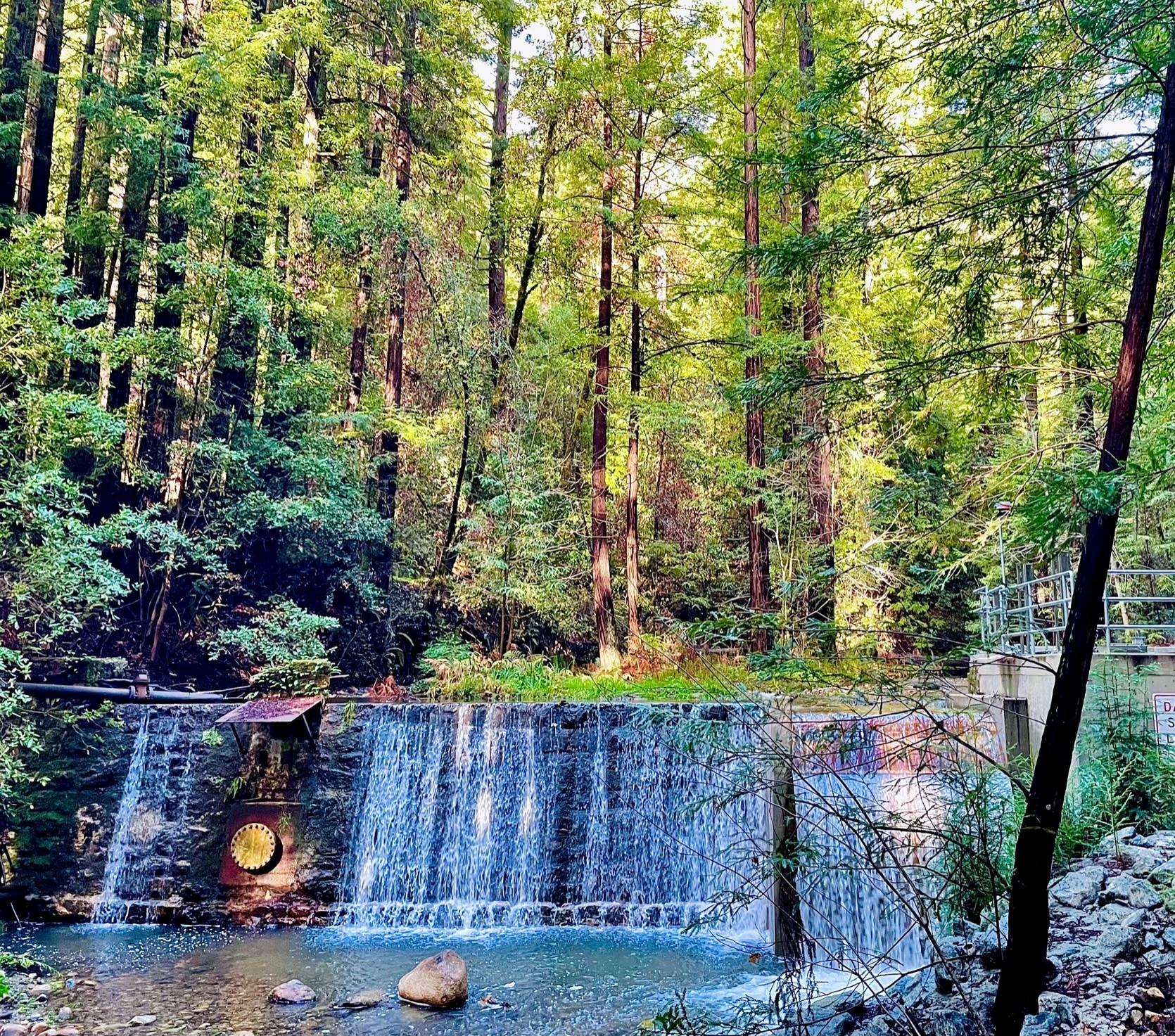 Laguna Creek