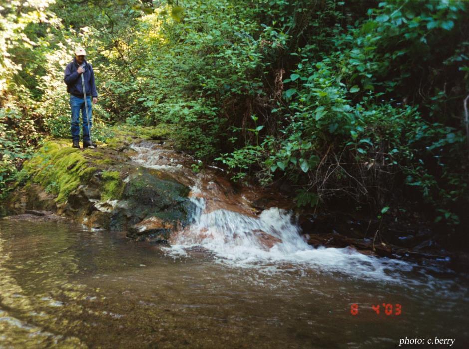 Liddell Creek