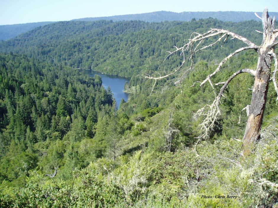 Newell Watershed