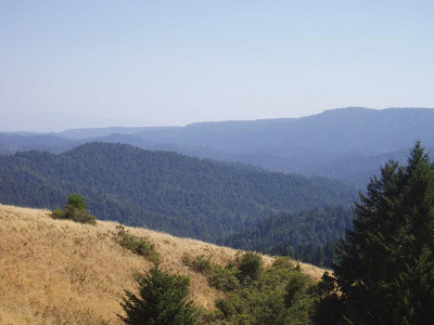San Lorenzo Watershed